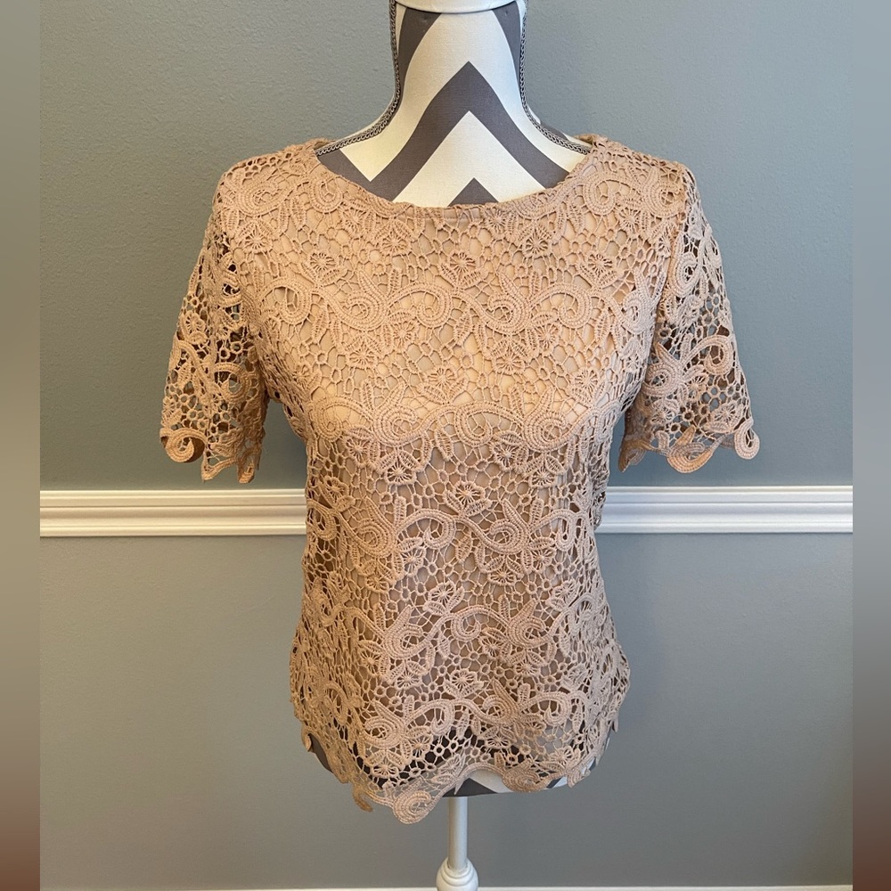 Adiva Lace Top - Beautiful Blouse - Size: Medium